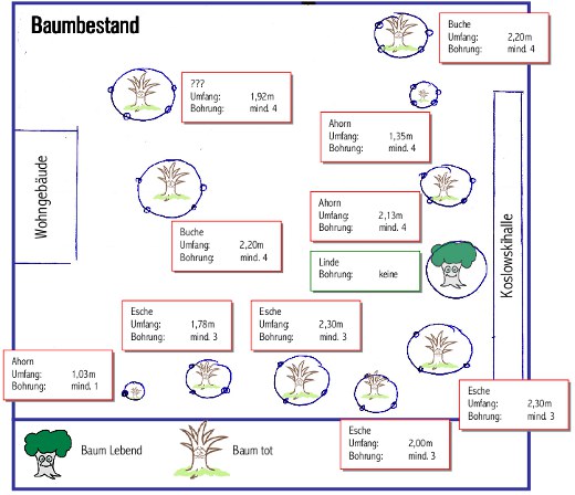 Baumbestand